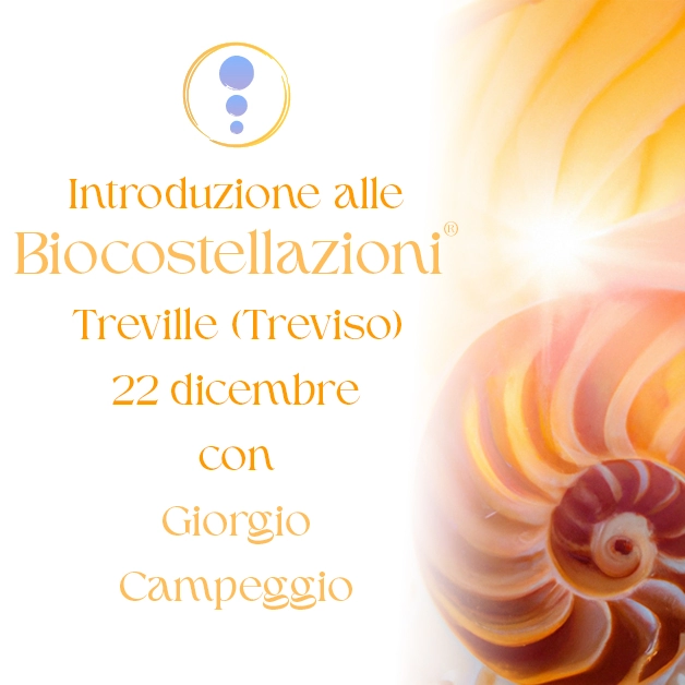 Biocostellazioni, Costellazioni Familiari a Treviso.